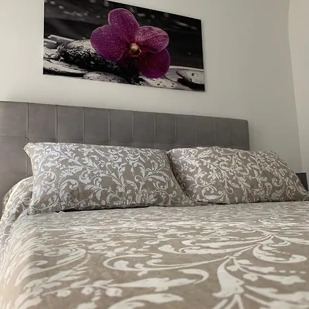 Munterahouse Catánia